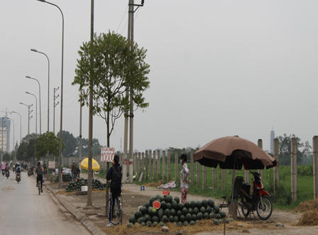 Dưa hấu “mắc kẹt", bán rẻ như cho